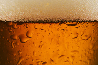 beer