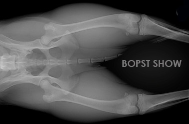 Bopst-154-Front