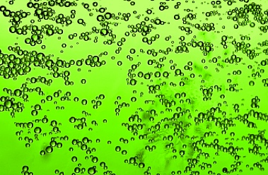 GreenBeer-Front
