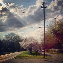 PotD-Spring-Front