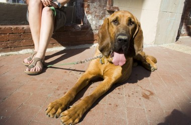 RVA Street Art Fest-2012-062