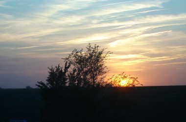 DSC01722
