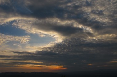 IMG_4387