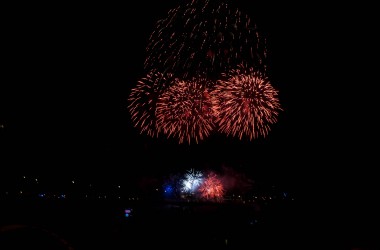 DSC_0219