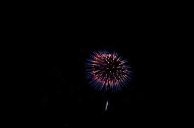 DSC_0262