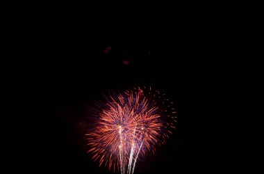 DSC_0305