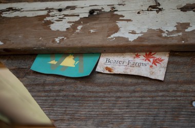 Bearer Farms 9