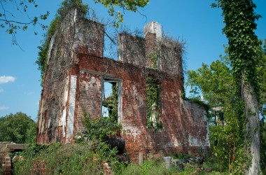 Bearer Farms 10
