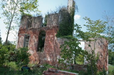 Bearer Farms 11
