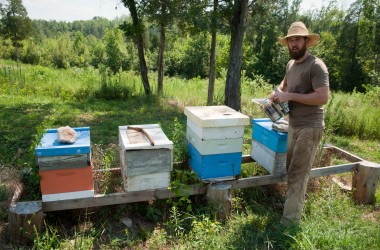 Bearer Farms 13