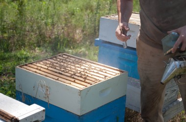 Bearer Farms 17