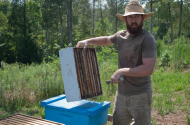 Bearer Farms 18