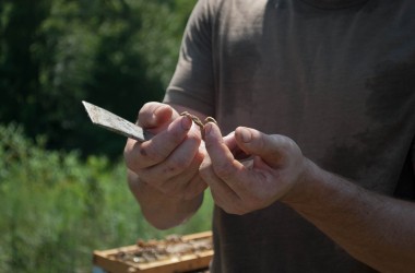 Bearer Farms 23