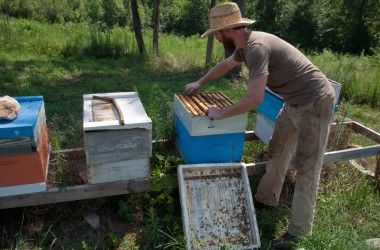 Bearer Farms 25