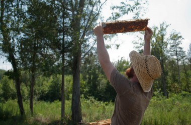 Bearer Farms 26