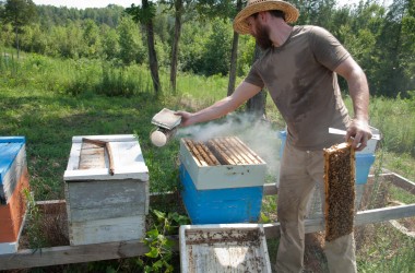 Bearer Farms 33
