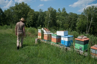 Bearer Farms 36