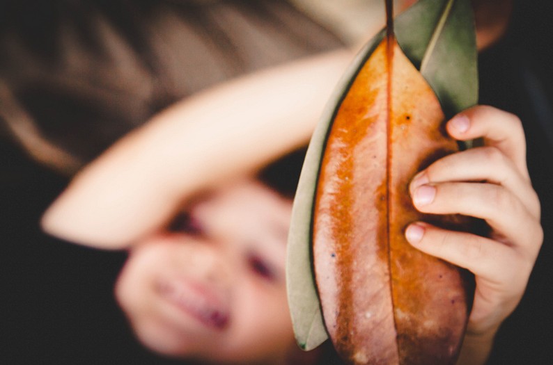boywithleaves