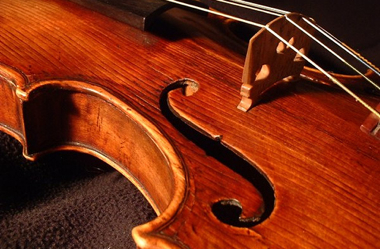 Violin