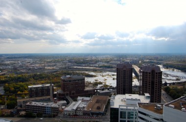 The view