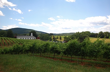 Wine-01-Front