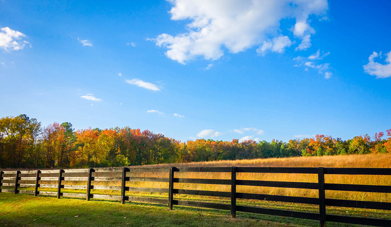 pasture