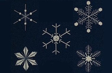 5Things-121220-Front