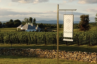 Wine-Boxwood-Front