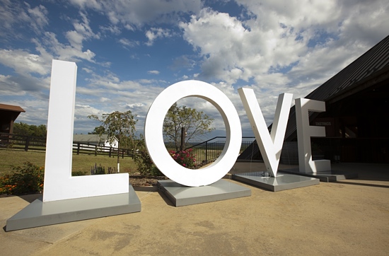 LOVE Comes to Blenheim Vineyards