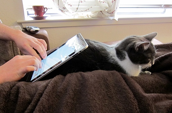 iPadCat