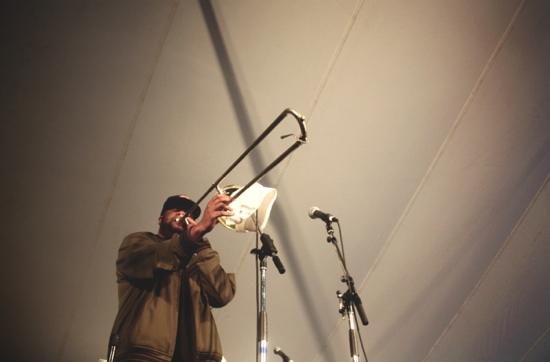 Folk fest musician
