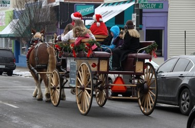 Horse carriage in Carytown