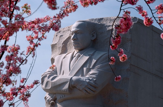 MLK