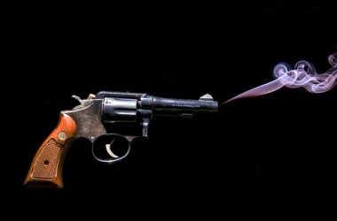 Gun