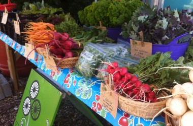 farm_stand