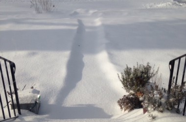 snow