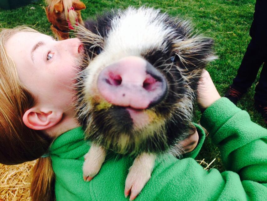 Turn your backyard into a petting zoo with Teeny Tiny Farm, a mobile petting zoo.