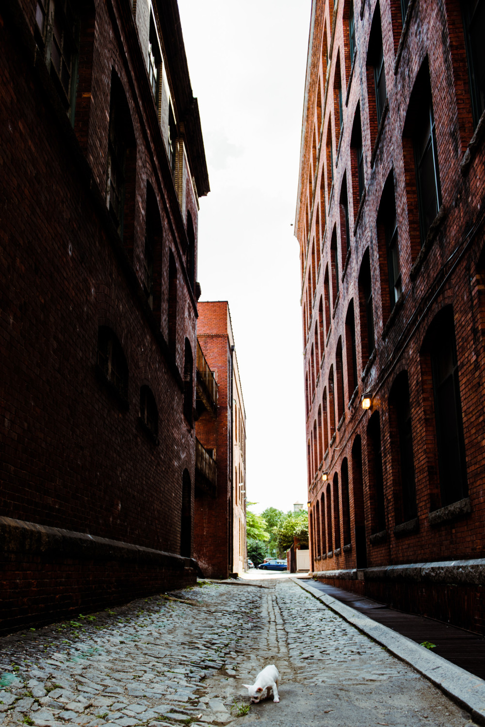 Between E. Cary Street and E. Main Street, off of 23rd Street